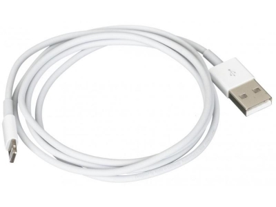 Apple MD818ZM/A originální USB kabel s Lightning konektorem pro Apple iPhone, iPad, iPod bílá (white) 1metr délka