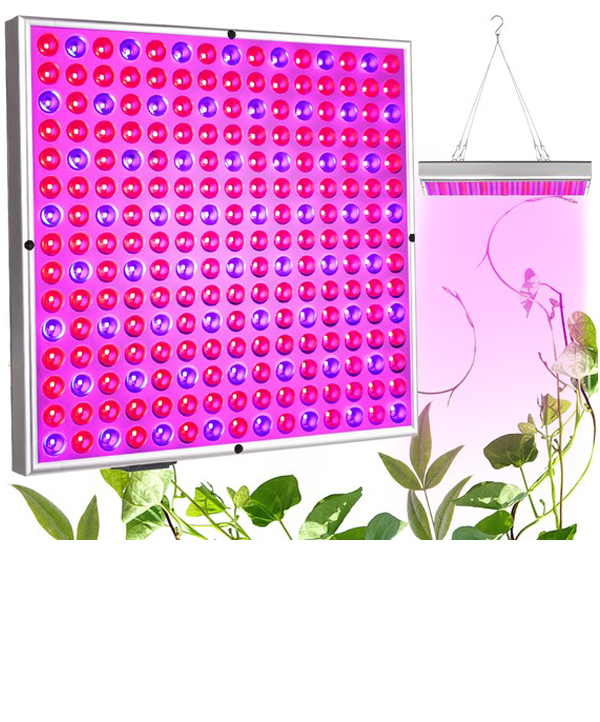 1Mcz MDA-PG13 pěstební LED světlo 36W pro růst rostlin