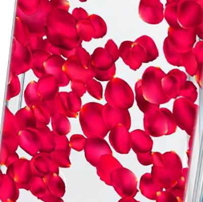 CellularLine Style Roses ochranný kryt s motivem růží pro Apple iPhone 6, iPhone 6S